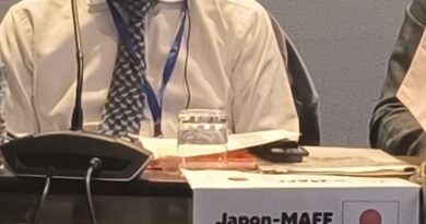 Protection des anguilles dans l’espace de l’Union européenne: La position tranchée du Japon