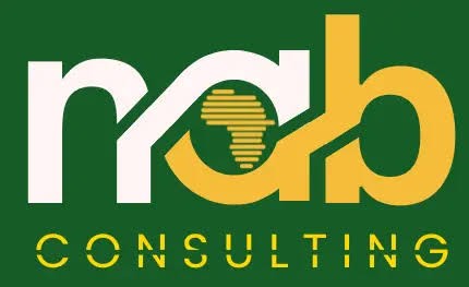 Financement structuré et co-arrangé avec Coris Bank Niger: NAB Consulting obtient  250 millions d’euros auprès d’Afreximbank